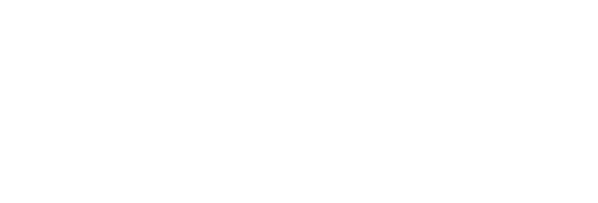 THE BAND