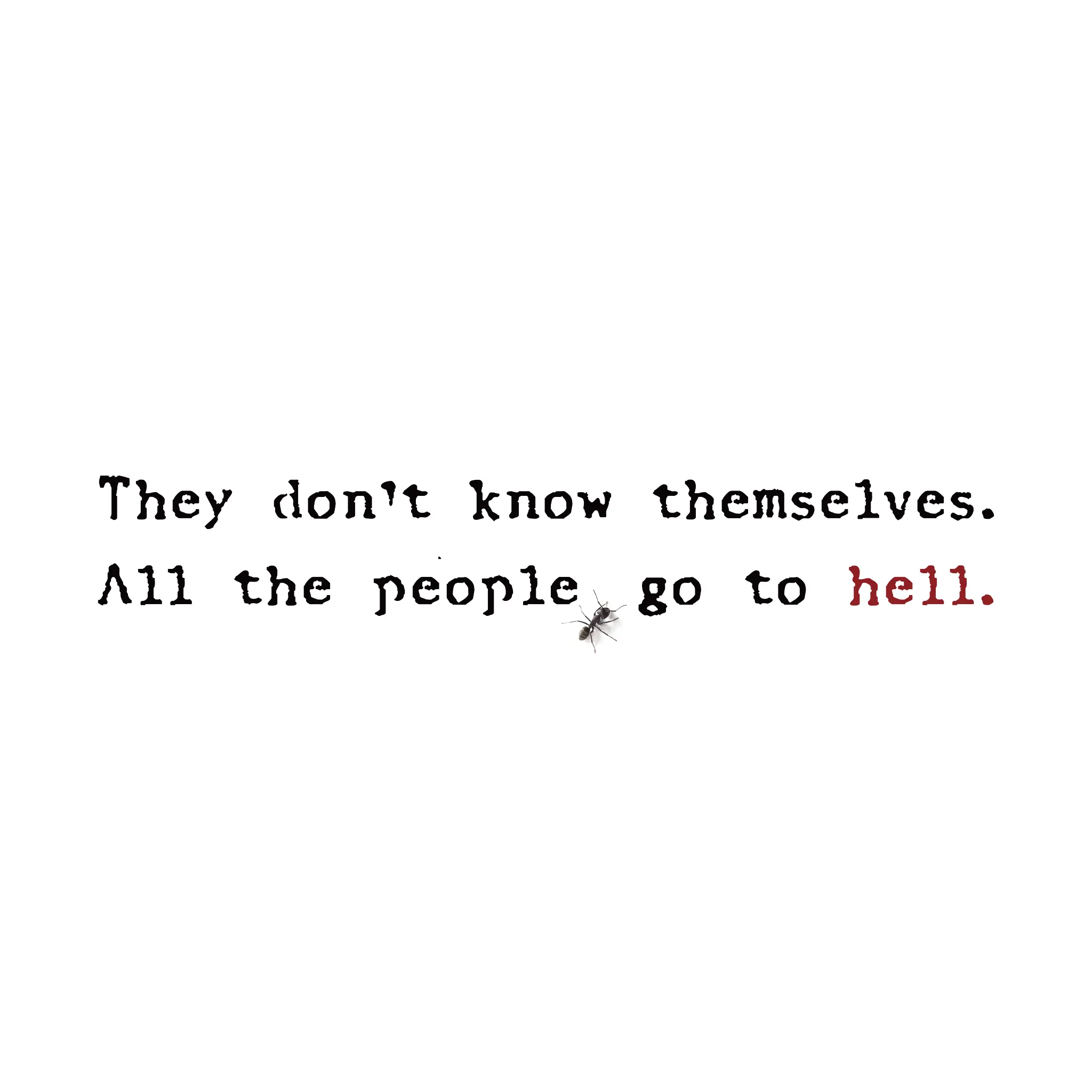 They don’t know themselves ジャケット