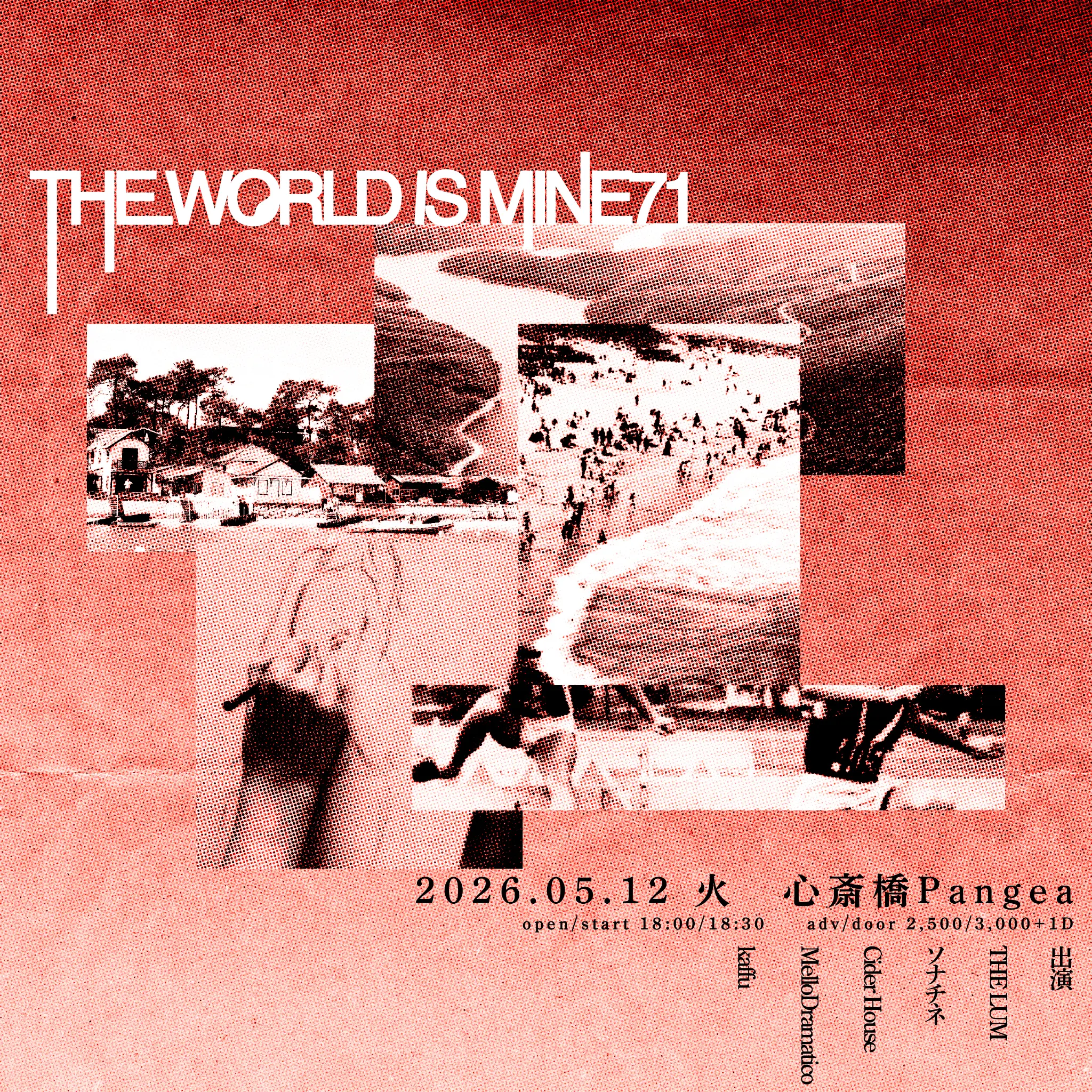 THE WORLD IS MINE71 フライヤー